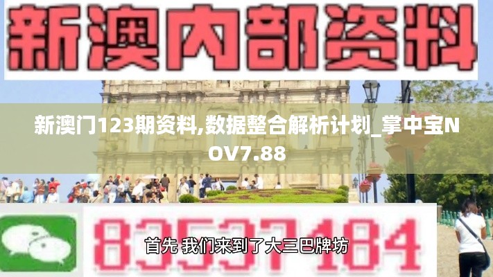 新澳门123期资料,数据整合解析计划_掌中宝NOV7.88