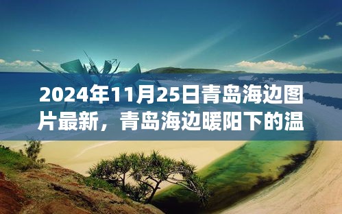 青岛海边暖阳下的温情故事，2024年11月25日海边奇遇图片分享