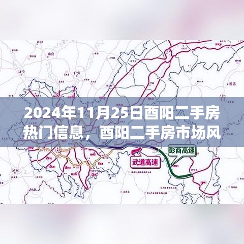 2024年11月25日酉阳二手房市场动态，热门信息解析与市场风云再起