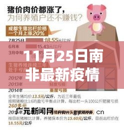 南非最新疫情应对指南，初学者与进阶用户的防护步骤（11月25日版）