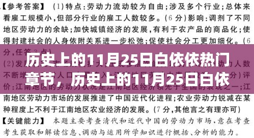 历史上的11月25日白依依热门章节，深度解读与影响