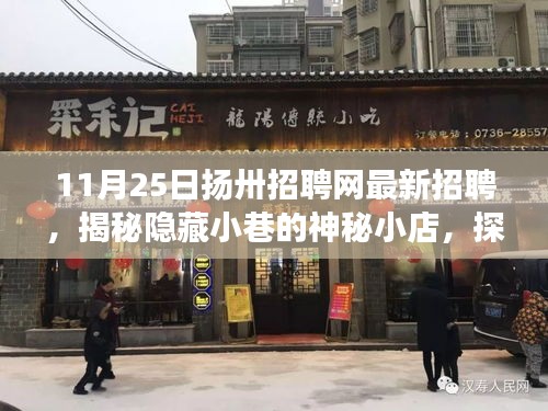 揭秘隐藏小巷的神秘小店，扬卅招聘网最新招聘信息详解