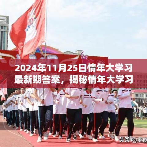 揭秘情年大学习全新篇章，探索未来科技产品的智慧体验之旅（2024年11月25日最新答案）