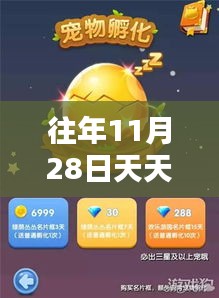 往年11月28日天天爱消除最新的密钥，天天爱消除最新密钥揭秘，回顾十一月二十八日的那些关键瞬间