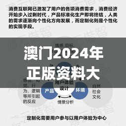 澳门2024年正版资料大全,决策信息解释_互联版MFX8.98