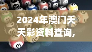 2024年11月 第233页