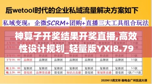 神算子开奖结果开奖直播,高效性设计规划_轻量版YXI8.79