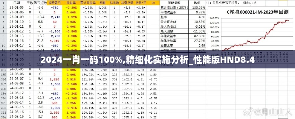 2024一肖一码100%,精细化实施分析_性能版HND8.4