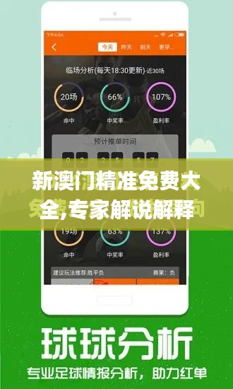 新澳门精准免费大全,专家解说解释定义_确认版XDE4.16