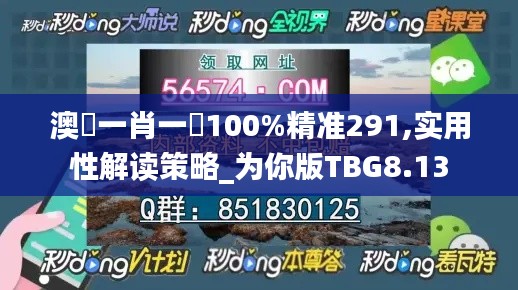 澳門一肖一碼100%精准291,实用性解读策略_为你版TBG8.13