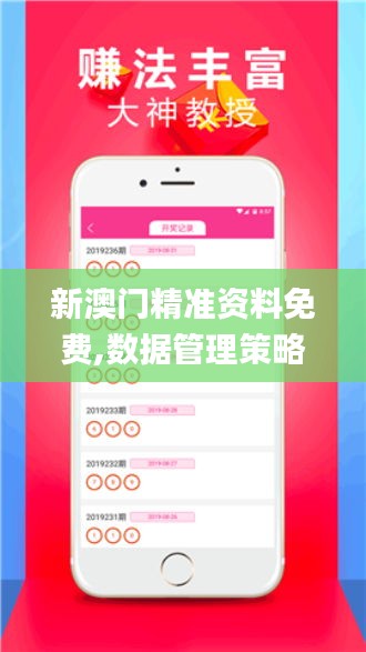 新澳门精准资料免费,数据管理策略_方便版EFB4.5