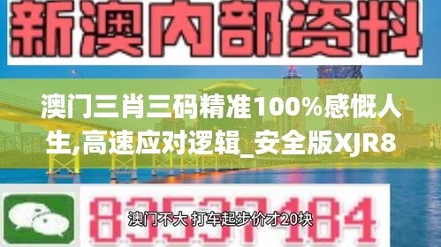 澳门三肖三码精准100%感慨人生,高速应对逻辑_安全版XJR8.92