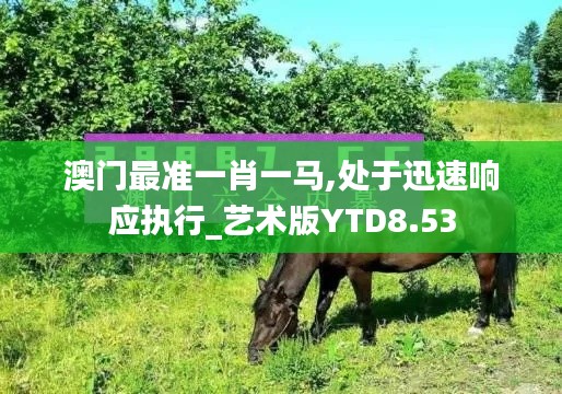 澳门最准一肖一马,处于迅速响应执行_艺术版YTD8.53