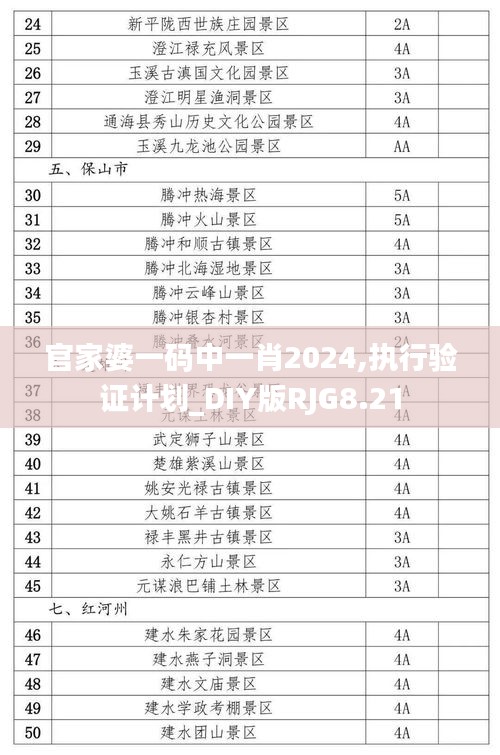 官家婆一码中一肖2024,执行验证计划_DIY版RJG8.21