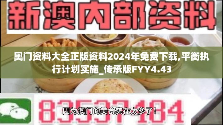 奥门资料大全正版资料2024年免费下载,平衡执行计划实施_传承版FYY4.43