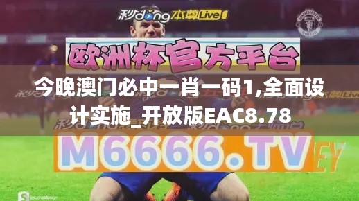 今晚澳门必中一肖一码1,全面设计实施_开放版EAC8.78