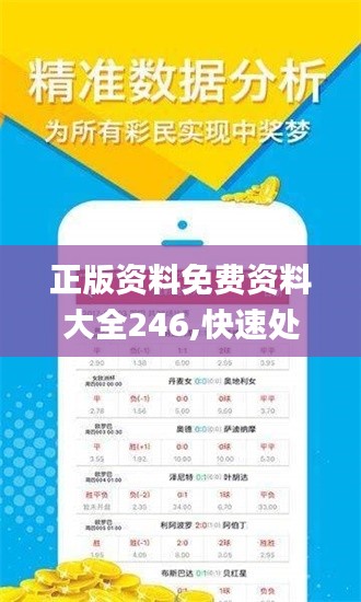 正版资料免费资料大全246,快速处理计划_习惯版EST8.49