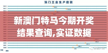 新澳门特马今期开奖结果查询,实证数据分析_娱乐版DDS4.20