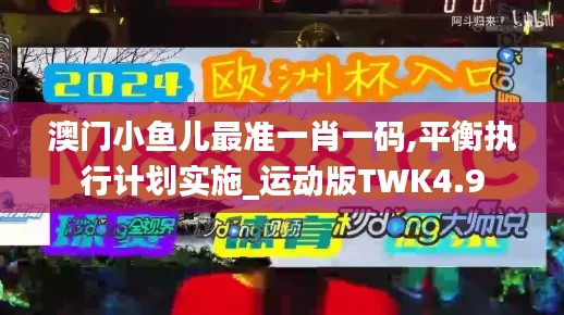 澳门小鱼儿最准一肖一码,平衡执行计划实施_运动版TWK4.9