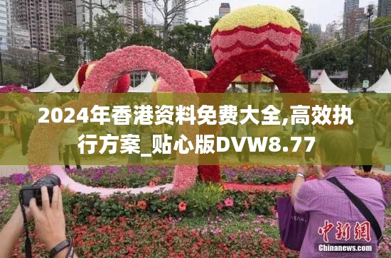 2024年香港资料免费大全,高效执行方案_贴心版DVW8.77