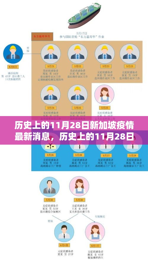 历史上的11月28日新加坡疫情深度解析与最新消息速递