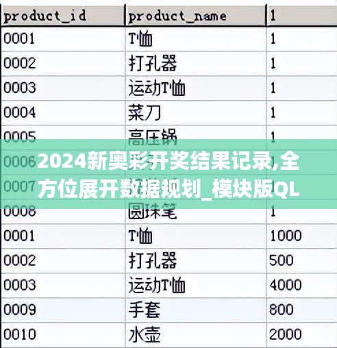 2024新奥彩开奖结果记录,全方位展开数据规划_模块版QLI8.4