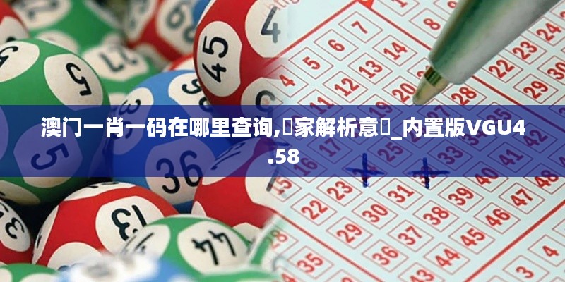 澳门一肖一码在哪里查询,專家解析意見_内置版VGU4.58