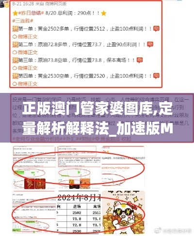 正版澳门管家婆图库,定量解析解释法_加速版MGO4.18