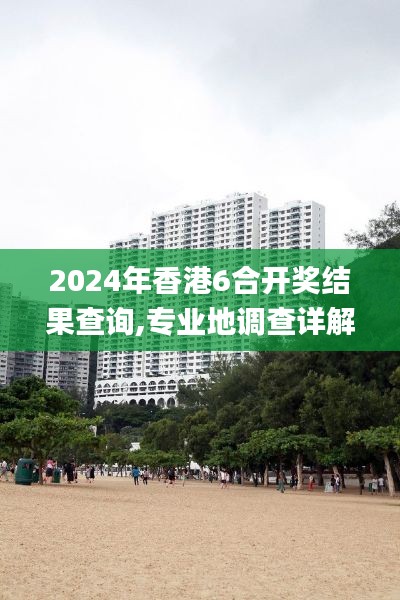 2024年香港6合开奖结果查询,专业地调查详解_教育版NNA4.84