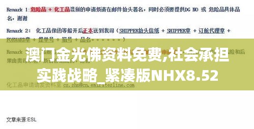 澳门金光佛资料免费,社会承担实践战略_紧凑版NHX8.52