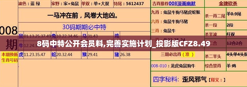 8码中特公开会员料,完善实施计划_投影版CFZ8.49