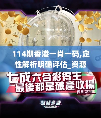 114期香港一肖一码,定性解析明确评估_资源版AYH8.24