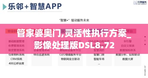 管家婆奥门,灵活性执行方案_影像处理版DSL8.72