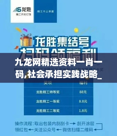 九龙网精选资料一肖一码,社会承担实践战略_先锋科技EDD8.10