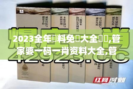 2023全年資料免費大全優勢,管家婆一码一肖资料大全,管家婆今期免费资料大全,,创新计划制定_旅行者特别版TBF8.12