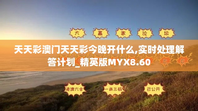 天天彩澳门天天彩今晚开什么,实时处理解答计划_精英版MYX8.60