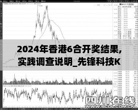 2024年香港6合开奖结果,实践调查说明_先锋科技KRM8.72