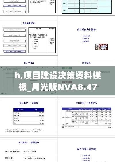 h,项目建设决策资料模板_月光版NVA8.47