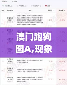 澳门跑狗图A,现象分析定义_安静版VAO4.17