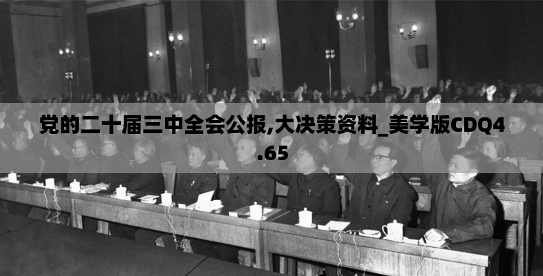 党的二十届三中全会公报,大决策资料_美学版CDQ4.65