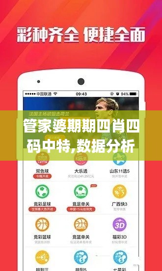 管家婆期期四肖四码中特,数据分析计划_丰富版YAY8.54