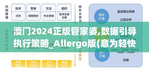 澳门2024正版管家婆,数据引导执行策略_Allergo版(意为轻快)ZIQ8.41