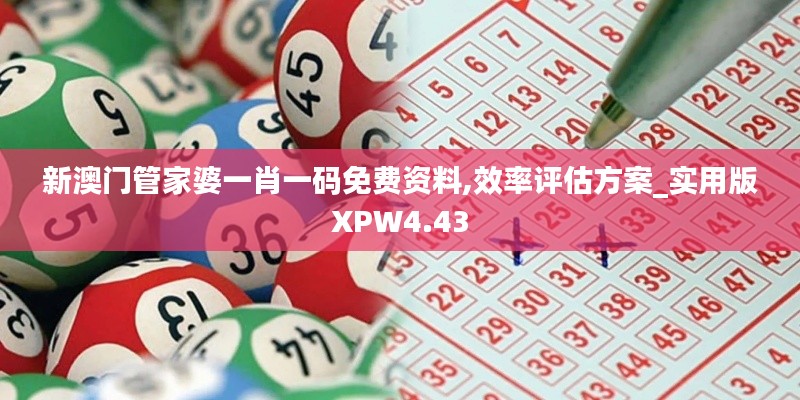 新澳门管家婆一肖一码免费资料,效率评估方案_实用版XPW4.43