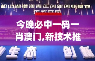 今晚必中一码一肖澳门,新技术推动方略_梦想版BUG8.19