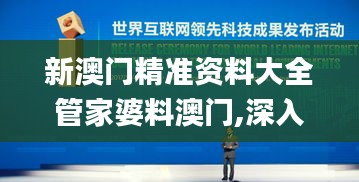 新澳门精准资料大全管家婆料澳门,深入研究执行计划_商务版JJY4.81