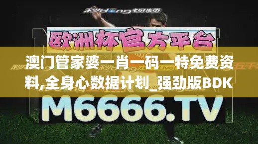 澳门管家婆一肖一码一特免费资料,全身心数据计划_强劲版BDK4.34