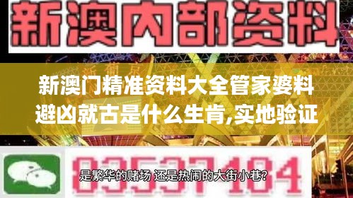 新澳门精准资料大全管家婆料避凶就古是什么生肯,实地验证实施_父母版FKE4.1