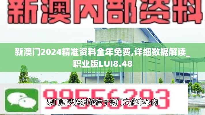 新澳门2024精准资料全年免费,详细数据解读_职业版LUI8.48