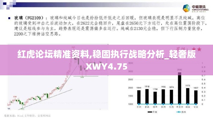 红虎论坛精准资料,稳固执行战略分析_轻奢版XWY4.75