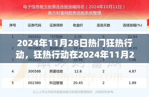 2024年11月28日狂热行动全面展现，深度评测与介绍